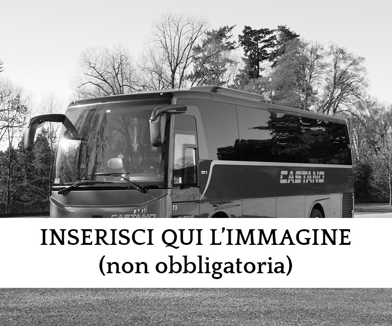 Noleggio bus e minibus Varese, Malpensa e Milano