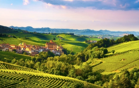 Gita nel Monferrato
